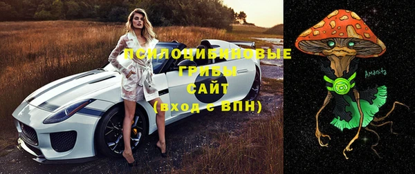 марихуана Баксан