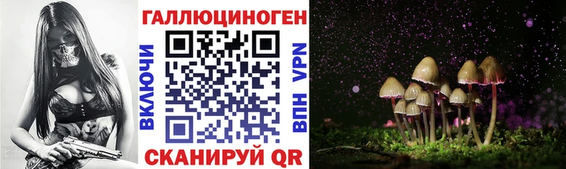 купить закладку  Ульяновск  Галлюциногенные грибы Magic Shrooms 